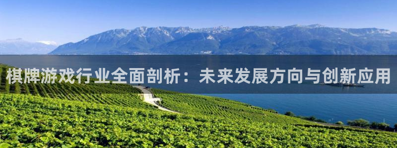 杜邦娱乐直属：棋牌游戏行业全面剖析：未来发展方向与创新应用