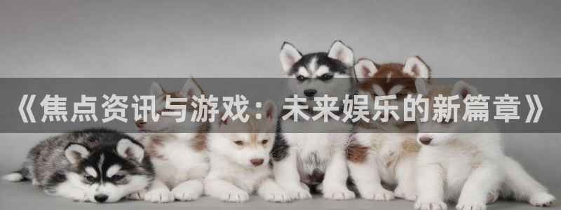杜邦娱乐主管：《焦点资讯与游戏：未来娱乐的新篇章》