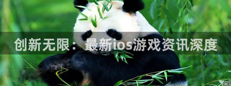 杜邦娱乐科技：创新无限：最新ios游戏资讯深度