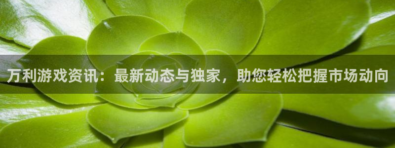 杜邦娱乐线路测试：万利游戏资讯：最新动态与独家，助您轻松把握