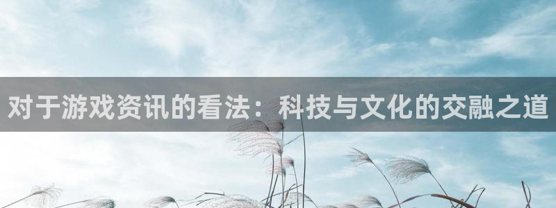 杜邦娱乐注册网站：对于游戏资讯的看法：科技与文化的交融之道