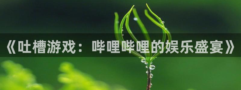 杜邦娱乐4招商：《吐槽游戏：哔哩哔哩的娱乐盛宴》